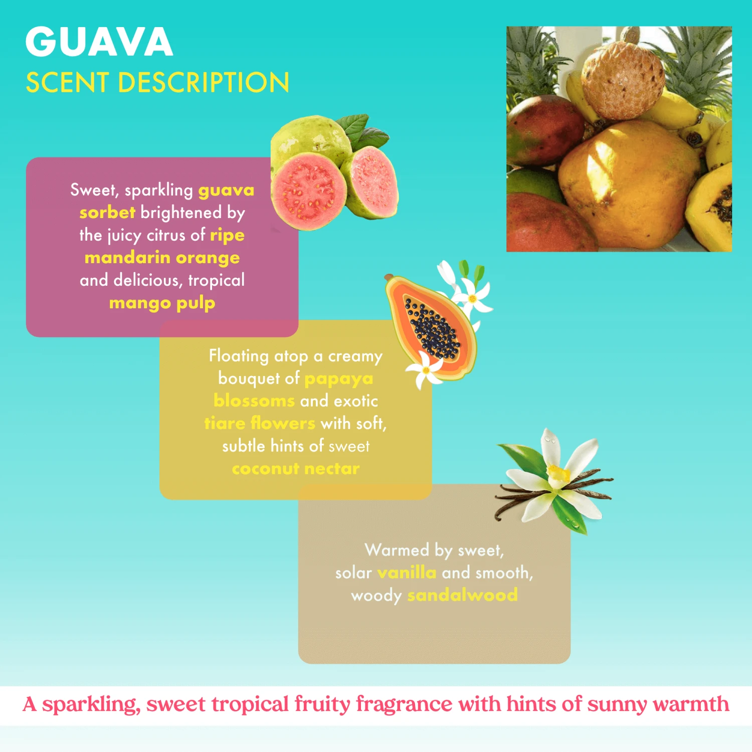 Guava Hydrating Body Milk Lotion - Image 7