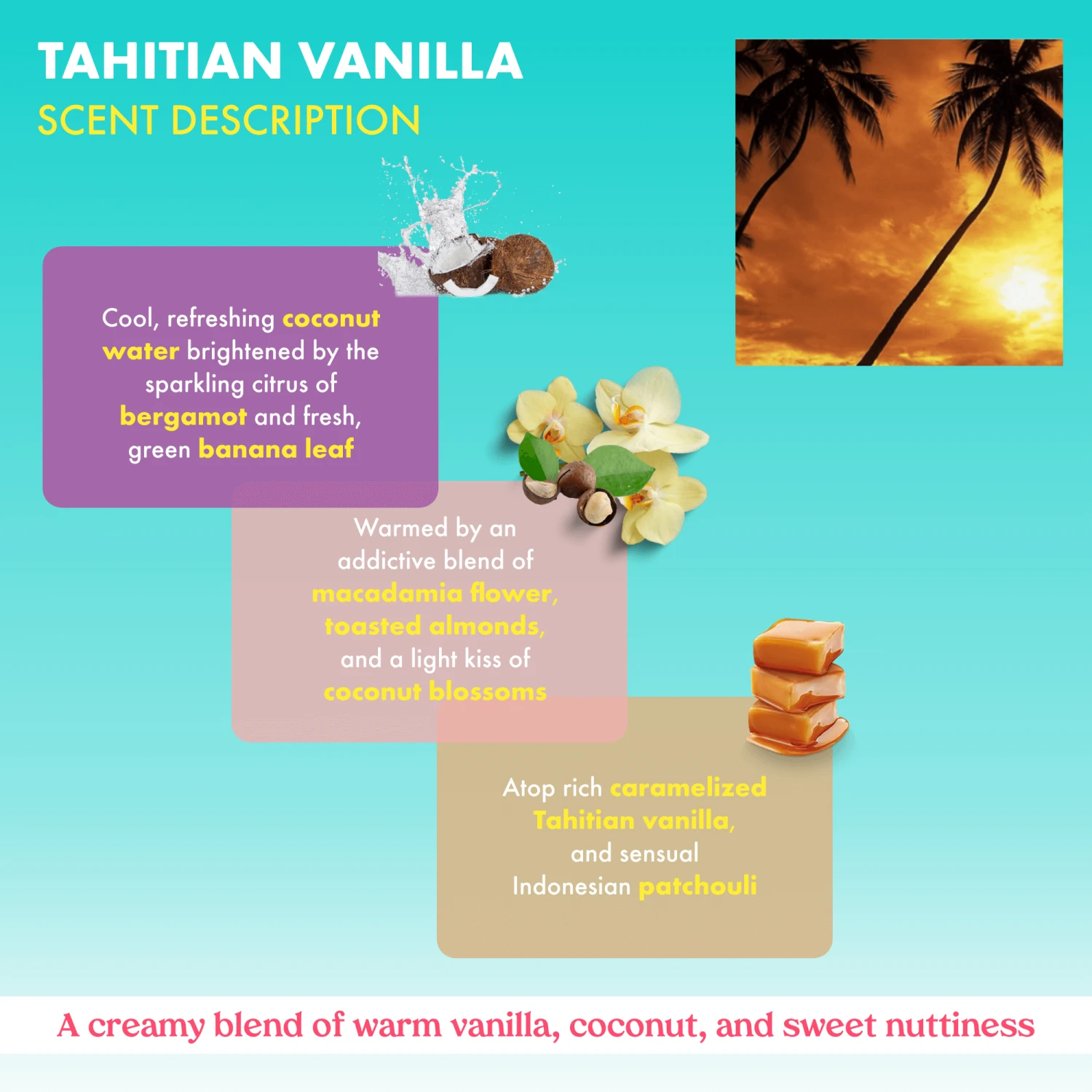 Tahitian Vanilla Hydrating Body Milk Lotion - Image 6