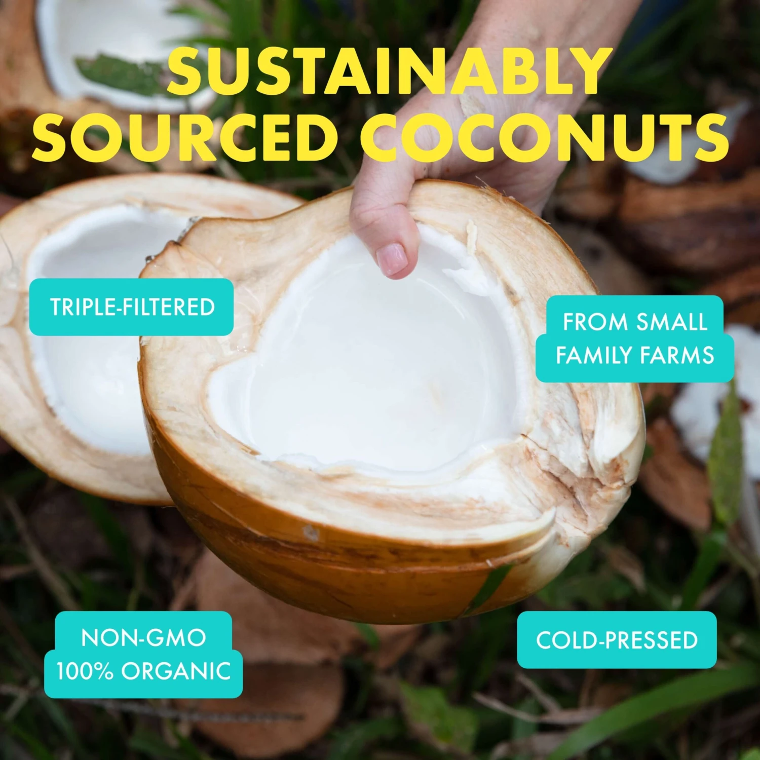 100% Organic Coconut Melt Refill - Image 14
